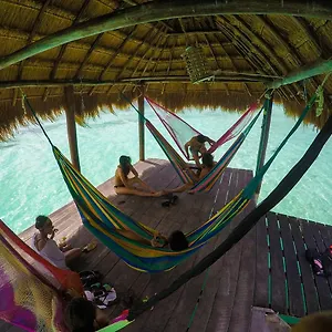 Wayak - Couette-café