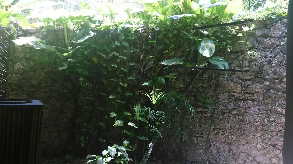 Villas Eco-Romanticas Kuuch Ka'Anil Bacalar 2*,  Μεξικό
